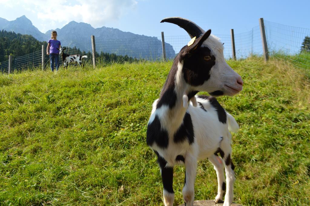 Landgasthof Ledererwirt Pension Ebbs Buitenkant foto