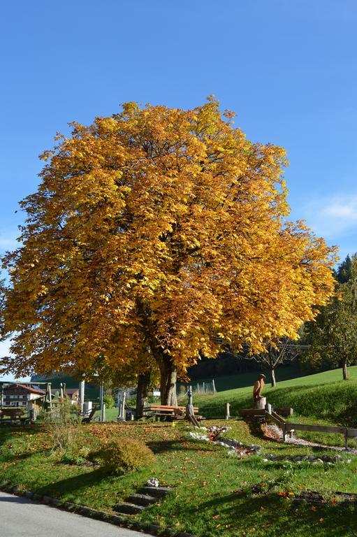 Landgasthof Ledererwirt Pension Ebbs Buitenkant foto