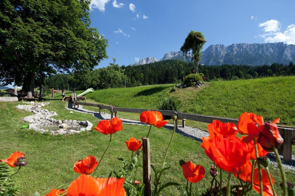 Landgasthof Ledererwirt Pension Ebbs Buitenkant foto